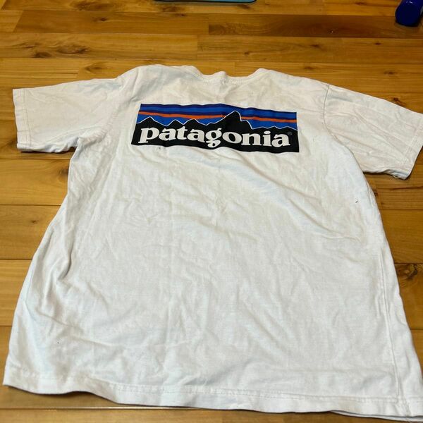パタゴニア 白 TシャツMサイズ