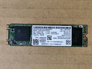 intel M.2 SATA SSD 256GB 