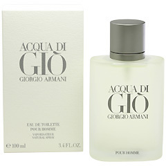 ジョルジオ アルマーニ アクア ディ ジオ オム EDT・SP 100ml 香水 フレグランス ACQUA DI GIO POUR HOMME GIORGIO ARMANI 新品 未使用