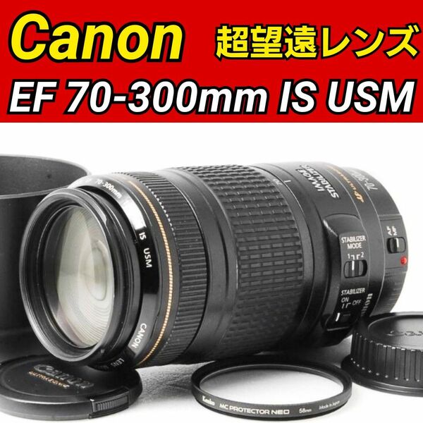 Canon EF 70-300mm F4-5.6 IS USM☆キヤノン望遠レンズ ズームレンズ 大人気 手ぶれ補正 高級レンズ