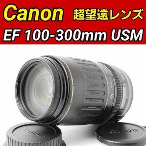 Canon EF 100-300mm F4.5-5.6 USM 超望遠レンズ キヤノン 実用品