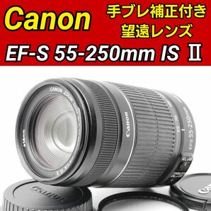 Canon EF-S 55-250mm F4-5.6 IS Ⅱ 手振れ補正 望遠レンズ キヤノン 純正品