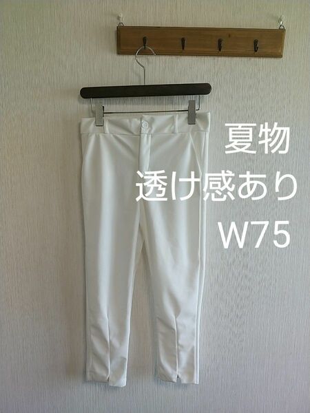 used 夏物 ストレッチ パンツ LサイズW75程度 透け感あり