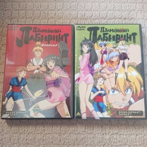 DVD 炎のらびりんす 全巻セット