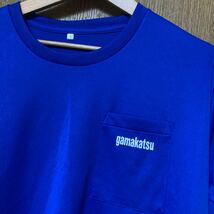 Gamakatsu サイズL がまかつ ドライ　ポケット　半袖　Tシャツ フィッシング　青　ブルー_画像2