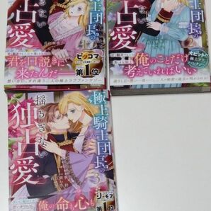 極上騎士団長の揺るぎない独占愛　１２３（ＢＦ　ＣＯＭＩＣＳ　な３－３） 直江亜季子／作画　黒乃梓／原作