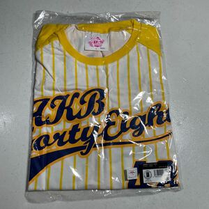 AKB48 ドームツアー 2013 Tシャツ Lサイズ 未使用 未開封