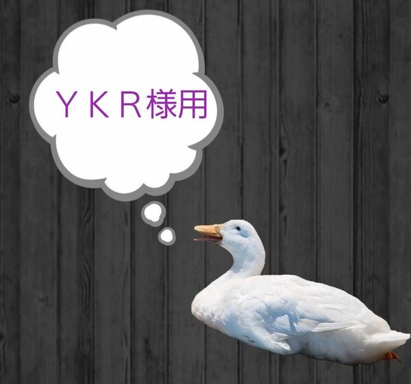 ＹＫＲ様用ページ.*｡