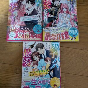 5月新刊☆ベリーズ文庫①