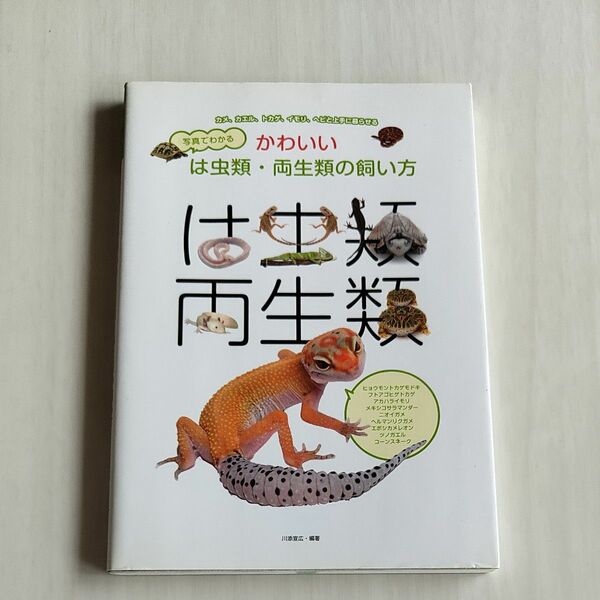 写真でわかるかわいいは虫類・両生類の飼い方　カメ、カエル、トカゲ、イモリ、ヘビと上手に暮らせる （写真でわかる） 川添宣広／編著