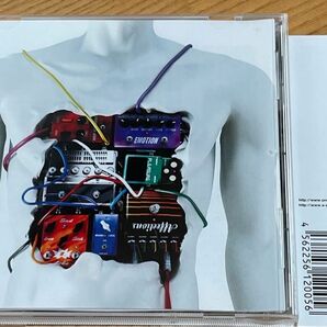 感情エフェクト ONE OK ROCK CD