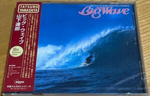 【新品】Big Wave 30th Anniversary Edition