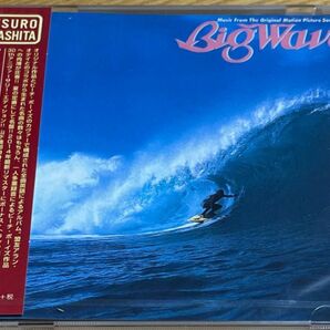 【新品】Big Wave 30th Anniversary Edition