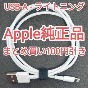 10　apple純正 ライトニングケーブル 充電ケーブル データ転送 iPhone iPod touch 純正品付属品正規品