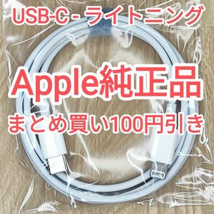 37　apple純正 ライトニングケーブル 充電ケーブル データ転送 iPhone iPod touch 純正品付属品正規品