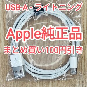 10　apple純正 ライトニングケーブル iPhone iPod touch 純正品付属品正規品