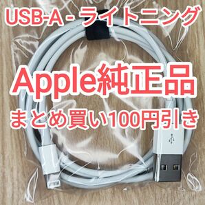 14　apple純正 ライトニングケーブル iPhone iPod touch 純正品付属品正規品