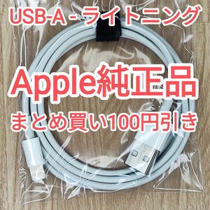 25　apple純正 ライトニングケーブル iPhone iPod touch 純正品付属品正規品