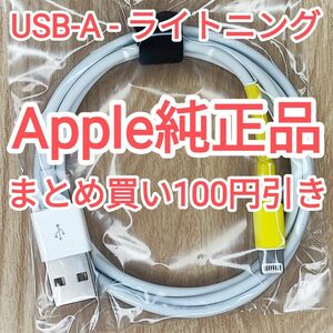 27　apple純正 ライトニングケーブル iPhone iPod touch 純正品付属品正規品