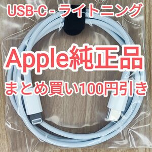 35　apple純正 ライトニングケーブル 充電ケーブル データ転送 iPhone iPod touch 純正品付属品正規品