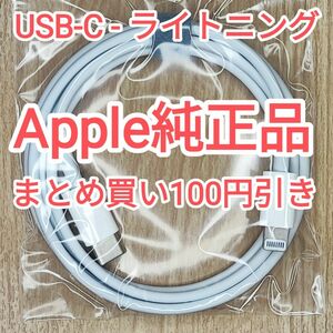 38　apple純正 ライトニングケーブル 充電ケーブル データ転送 iPhone iPod touch 純正品付属品正規品