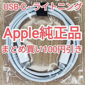 39　apple純正 ライトニングケーブル 充電ケーブル データ転送 iPhone iPod touch 純正品付属品正規品