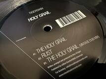 12”★Tigerskin / Holy Grail / テック・ハウス / ミニマル！_画像1