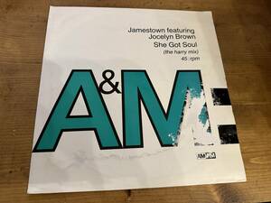 12”★Jamestown Featuring Jocelyn Brown / She Got Soul / ダウンテンポ / グランドビート！