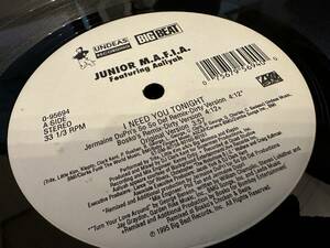 12”★Junior M.A.F.I.A. Featuring Aaliyah / I Need You Tonight / クラシック！