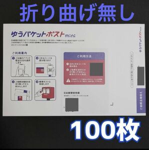 ゆうパケットポストミニ 専用封筒 100枚　24時間以内 匿名発送 ゆうパケットポストmini 