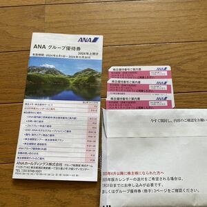 【送料無料】ANA全日空株主優待券３枚2025年5月31日まで＋グループ優待券