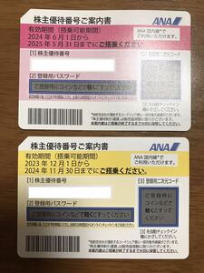 全日空 ANA株主優待　割引券　～2025年5月末～　～2024年11月末～