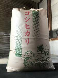 うま〜い新潟産 コシヒカリ25kg ☆ 令和 5年産 新米