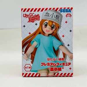 新品未開封 セガ プレミアムフィギュア はたらく細胞 血小板