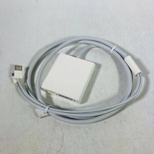 Apple Mini DisplayPort - Dual-Link DVI Adapter A1306