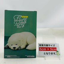 新品未開封 Fluffy Puffy SPY×FAMILY スパイファミリー ボンド フォージャー_画像2