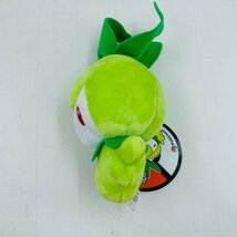 新品 ポケモンセンター ポケットモンスター ぬいぐるみ チュリネ_画像4