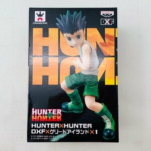 新品未開封 HUNTER×HUNTER ハンターハンター DXF×グリードアイランド×1 ゴン=フリークス