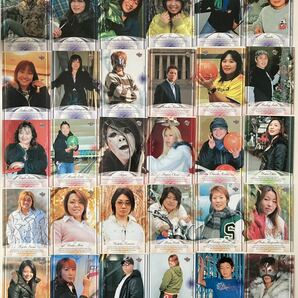 BBM 2007 TRUE Heart 女子プロレス トレーディングカード レギュラー67枚 SP2枚の画像1