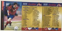 panini 2002 WORLD CUP FIFA トレーディングカード　63枚_画像3