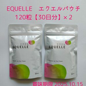 大塚製薬 エクエル パウチタイプ 120粒 × 2