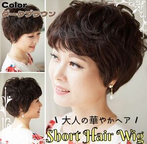  wig middle and old age Short Bob wig for women full wig Brown usually using natural ime changer 