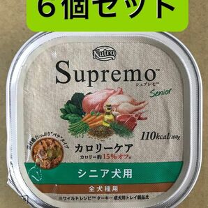 ニュートロシュプレモ シニア犬用 100g×6個セット