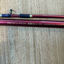 ダイワ Daiwa リーオマスター 真鯛GM M-300 中古美品 送料無料_画像1