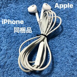 Apple イヤホン Lightning iPhone付属品　純正品　アイフォン 【中古】