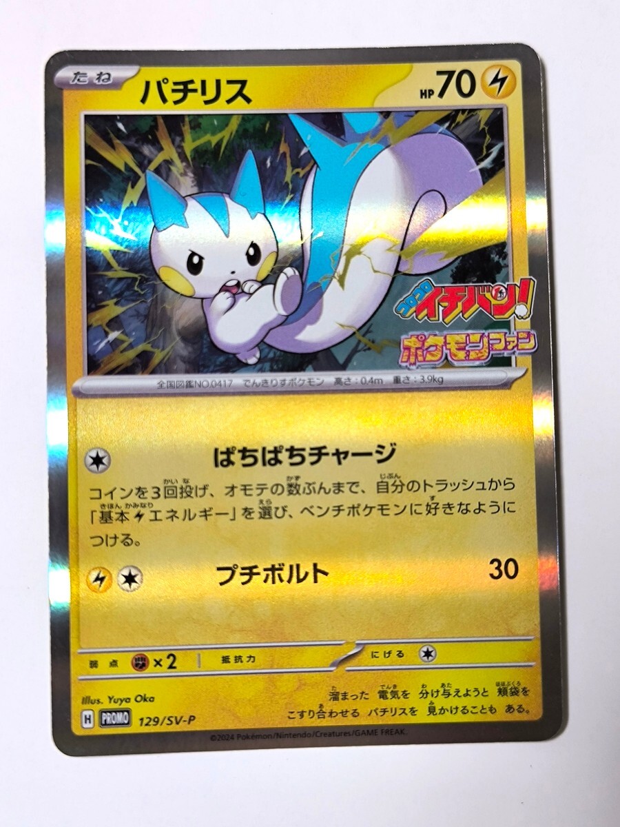 2025年最新】Yahoo!オークション -ポケモンカード パチリスの 2025年最新】Yahoo!オークション -ポケモンカード パチリスの