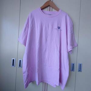 Simply Southern シンブリー サザン USA古着（XL）半袖Ｔシャツ コットン colorピンク　 962-6H1506