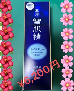 特別価格! KOSE 雪肌精 化粧水 ジャンボボトル500ml １本