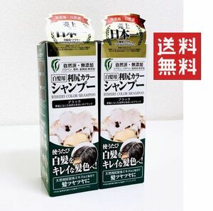 利尻ヘアカラーシャンプー ブラック 200g × 2箱 ★平日毎日発送★ 自然派 白髪用 利尻昆布 自然派club サスティ 黒