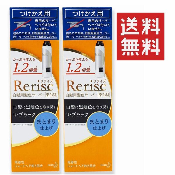 リピーター様に！ 花王 リライズ Rerise 白髪用髪色サーバー まとまり仕上げ つけかえ用× 2本 ★平日毎日発送★